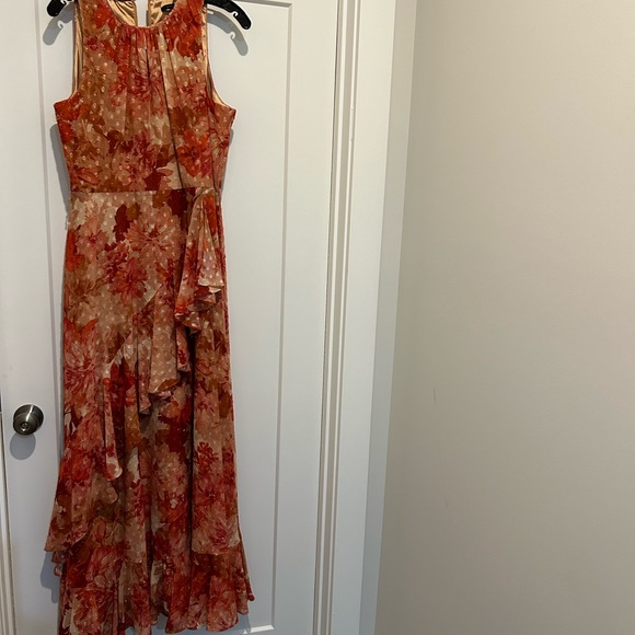 Alex Marie maxi dress - Picture 5 of 6